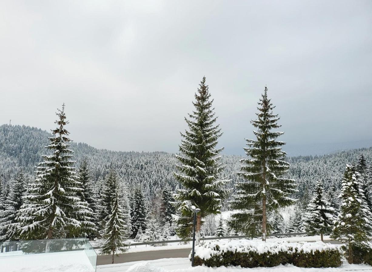 Hotel Forest Pale Eksteriør bilde